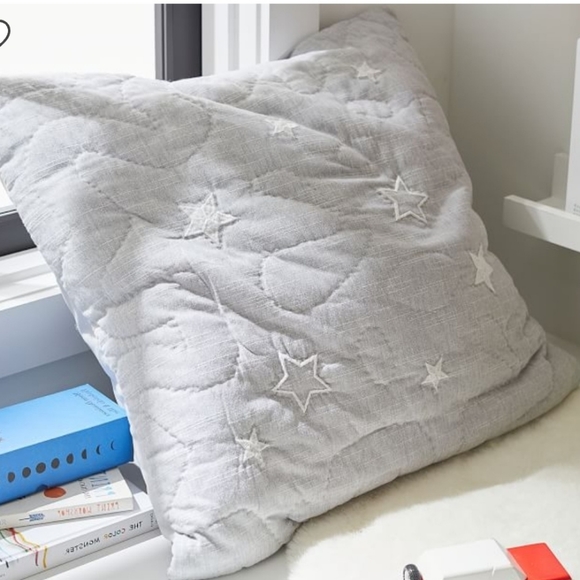 NEW Pottery Barn Kids Paw Patrol Quilted Sham Cotton Euro Square 26"x26" - Picture 6 of 6